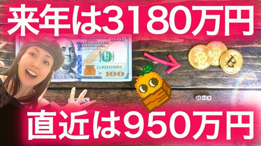 【ビットコイン初心者必見】仮想通貨は夏にかけて始めどき アルトシーズンまもなく NFTまり
