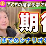 【注目の材料！】ビットコイン・金曜日のPCEの結果次第では８月頃まで反発する可能性を追いかけます！【最新の仮想通貨分析を公開】