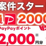 コレ参加しないと確実に後悔するやつだ…【PayPay】