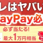 PayPay新キャンペーン嘘だろ…４つも追加‼︎