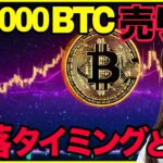 今週重要 ビットコインとナスダックを徹底分析 #btc  #仮想通貨 #米国株