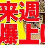 ⚠️騙し注意⚠️ビットコインが来週爆上げ⁉︎今後の最新分析を共有します！【仮想通貨】