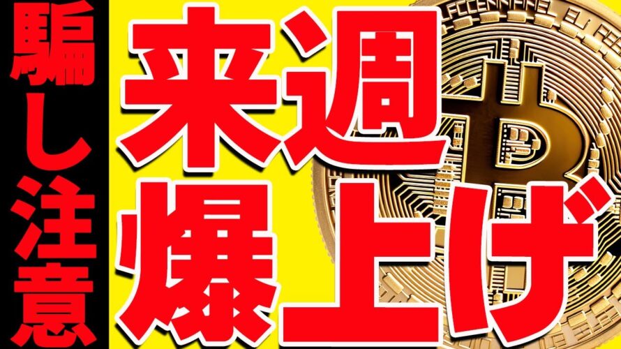 ⚠️騙し注意⚠️ビットコインが来週爆上げ⁉︎今後の最新分析を共有します!【仮想通貨】