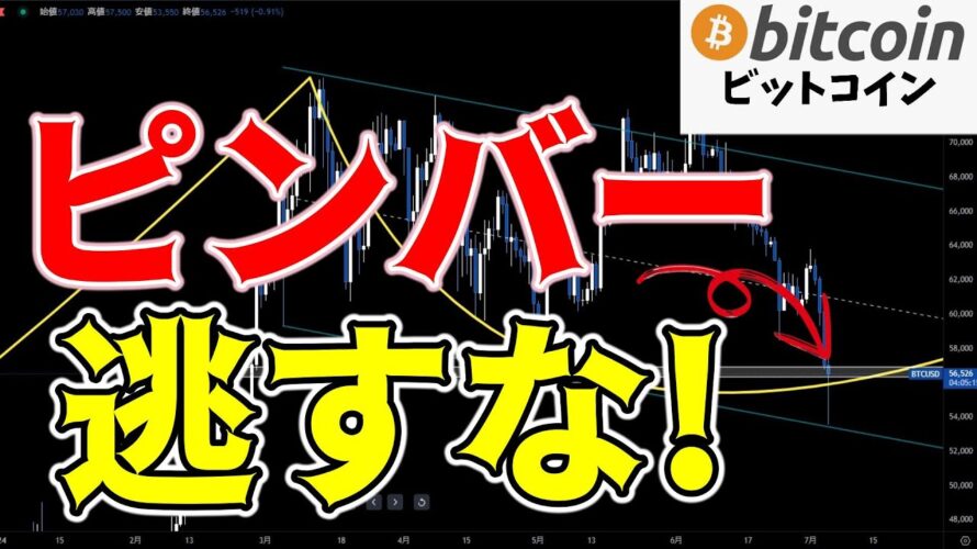 【仮想通貨 ビットコイン】ピンバー完成は転換の兆し!安値更新が止まれば積極的に買いを考える(朝活配信1528日目 毎日相場をチェックするだけで勝率アップ)【暗号資産 Crypto】