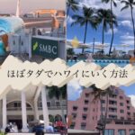 ほぼ無料でいくハワイ🌺お得にハワイ🌺食べまくりハワイ旅行3泊5日🌴裏技🌴お得にいくファーストクラスでハワイ🌴マイルでいくなら今がねらい目！？🌺マリオット🌺フライングホヌ🛫ビジネスクラス🛫旅VLOG🌼