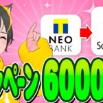 💎💎キャンペーン🤡口座開設で6000円😻ソニー銀行急げー👜 NEO BANKと自動振込でゲット🚀🚀ポイ活おすすめ 住信SBIネット銀行
