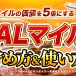 【完全ガイド】知らなきゃ損する7つの JALマイル の 貯め方 ＆ 使い方