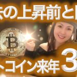 【ビットコイン最新情報】来年に最高値 今買い 直近はいくつかの売り材料 NFTまり