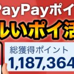 【削除覚悟】ズルすぎるPayPayポイントの貯め方