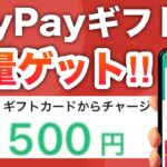 【今日から】コレでPayPay即付与されるんだけど…‼︎