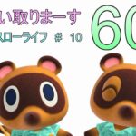 【#あつまれどうぶつの森】Vたまのスローライフ　#10　カブ買い取り「606ベル」　【どなたでも参加オッケー】
