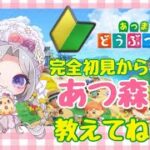 【🔰完全初見から入る！ ＃あつ森 】あたし、引っ越します！！！⑤【#Vtuber】雛（suu)