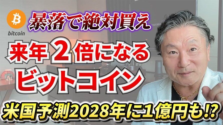 【暴落中】ビットコインは今から買うべきか⁉︎「暗号資産の未来」を予測 #投資 #お金 #bitcoin