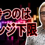 次に買えるのはレンジ下限！？【 #ビットコイン ＆ アルトコイン 分析】 #bitcoin #btc