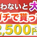 コレ今やらないとガチで後悔するよ…