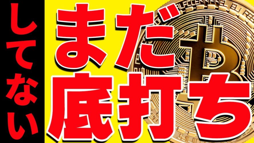 ⚠️注意⚠️ビットコインの底打ちはまだ!絶対に買うな!今後の最新分析を共有!【仮想通貨】