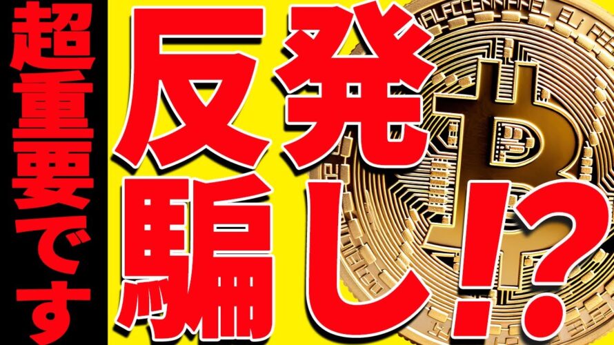 ⚠️超重要⚠️ビットコイン反発中だが騙し⁉︎今後の最新分析を共有!【仮想通貨】