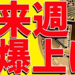 ⚠️重要⚠️ビットコインは来週爆上げしない⁉︎今後の最新分析を共有！【仮想通貨】