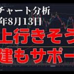2024年8月13日ビットコイン相場分析