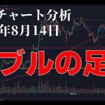 2024年8月14日ビットコイン相場分析