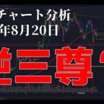 2024年8月20日ビットコイン相場分析