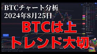 2024年8月25日ビットコイン相場分析