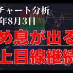 2024年8月3日ビットコイン相場分析