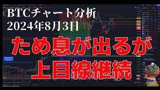 2024年8月3日ビットコイン相場分析