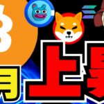 【🔥仮想通貨9月上昇か】ビットコインバブル来る？波に備えよ／ソラナがイーサリアムに勝つ？３年以内に何が起こるの？／ミームコイン、クジラが動き出す。。ドージコイン、柴犬、BRETT