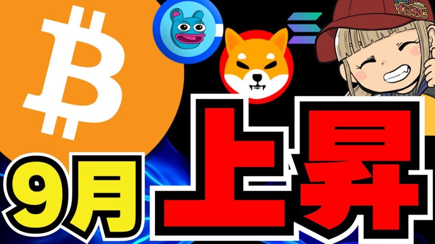【🔥仮想通貨9月上昇か】ビットコインバブル来る?波に備えよ/ソラナがイーサリアムに勝つ?3年以内に何が起こるの?/ミームコイン、クジラが動き出す。。ドージコイン、柴犬、BRETT