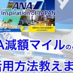 【国内線より必要マイル数が少ない】誰も教えてくれない？今回のANA減額マイルはこう使え！