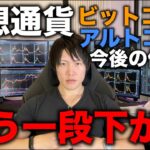 【さらに暴落予想】ビットコインはもう一段下がります。BTCとアルトの今後の値動きについて。