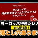 ヨーロッパ行きたい人に朗報！JAL　ダブルマイル＆特典航空券ディスカウントマイル　キャンペーン   　でも落とし穴があるから要注意！