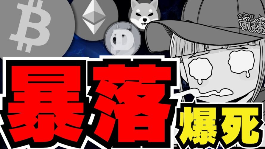 【💀仮想通貨また大暴落】ビットコインに何が?今どうすれば良い?/イーサリアムの下落がマジでひどい。引退か?/ミームコインも下落。ドージコインは大底じゃなかったのか。POPCATとFLOKIに注目