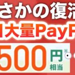 嘘だろ…今日からPayPayポイントこんなに貰える‼︎