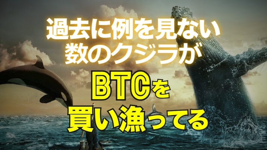 過去に例を見ない数のクジラがビットコインを買い漁っている