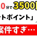 【衝撃】超絶お得なポイ活、ビットポイントを見逃すな！