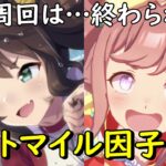 【ウマ娘】ダートマイル因子周回が終わらない枠【大豊食祭シナリオ】