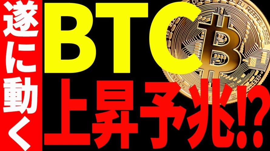 ⚠️上昇予兆⁉︎⚠️ビットコイン遂に動くぞ!今後の最新分析を共有!【仮想通貨】