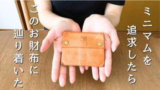 【アブラサスとの比較】ミニマムを求めた小さい財布|ミニマリスト|ミニ財布の中身