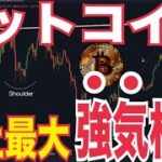 ビットコイン史上最大のブレイクアウトか！？強気相場「歴史は繰り返す」！？
