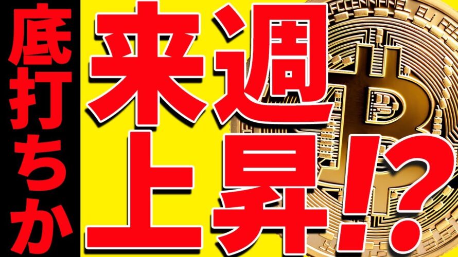 ⚠️底打ち⁉︎⚠️ビットコインは来週上昇するのか⁉︎今後のポイントは〇〇です!【仮想通貨】