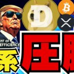 【🔥ドージコイン強し】イーロン砲炸裂！10月爆億か／ビットコイン好調の影にステーブルコイン？／XRPも上昇中！1000倍とかあり得るの？【あり得ません】