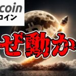 【仮想通貨 ビットコイン】価格が動かない理由！売り圧力と利下げ期待が鍵を握る（朝活配信1587日目 毎日相場をチェックするだけで勝率アップ）【暗号資産 Crypto】