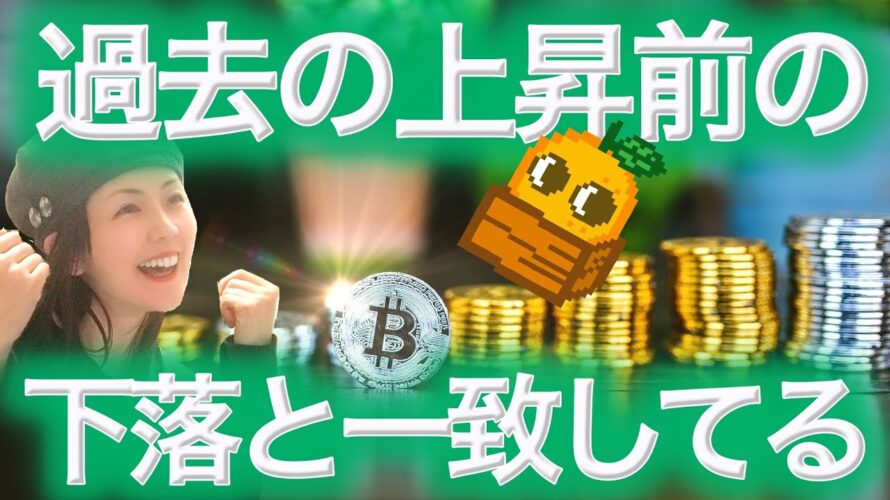 【仮想通貨最新情報】ビットコイン今後273%上昇余地 売り手の枯渇 BTCまり