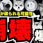 【💀ビットコイン終了】92%の確率で暗号が破られる？仮想通貨投資すべきか？／SEI＆SUIが大躍進！もはやクラッシュギャルズ並み／POPCATが急成長！ドージコイン柴犬は？