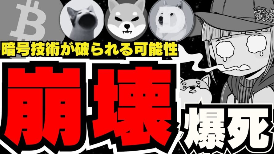 【💀ビットコイン終了】92%の確率で暗号が破られる?仮想通貨投資すべきか?/SEI&SUIが大躍進!もはやクラッシュギャルズ並み/POPCATが急成長!ドージコイン柴犬は?