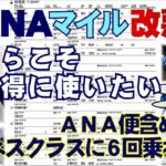 【デリー・ワルシャワルート】改悪されたANAマイルだけど超お得な特典航空券でビジネスクラスの旅を楽しみたい！