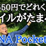 【公開】ANA Pocketはマイルがどれくらい貯まる？月々550円（Pro）で貯まったマイルを公開します。