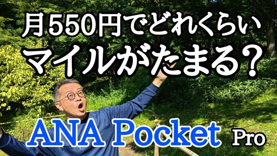 【公開】ANA Pocketはマイルがどれくらい貯まる?月々550円(Pro)で貯まったマイルを公開します。